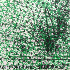 Eendenkroosserenade, inzending IPMAP 2024 Grafein, expo Markiezenhof ets, 10cm x 15 cm 2 kleuren